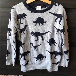 Boys Dino sweater